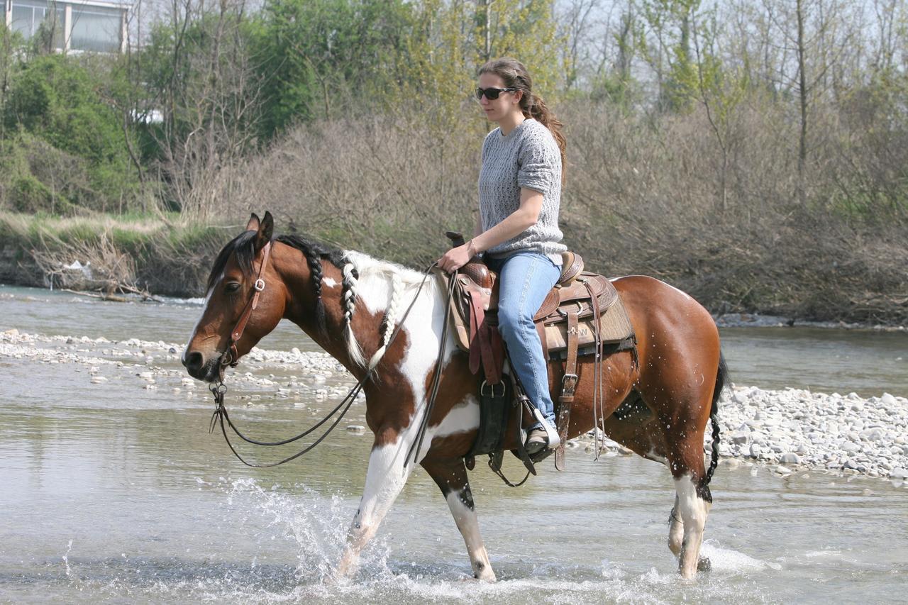 Cowboys Guest Ranch Hotel Вогера Екстериор снимка