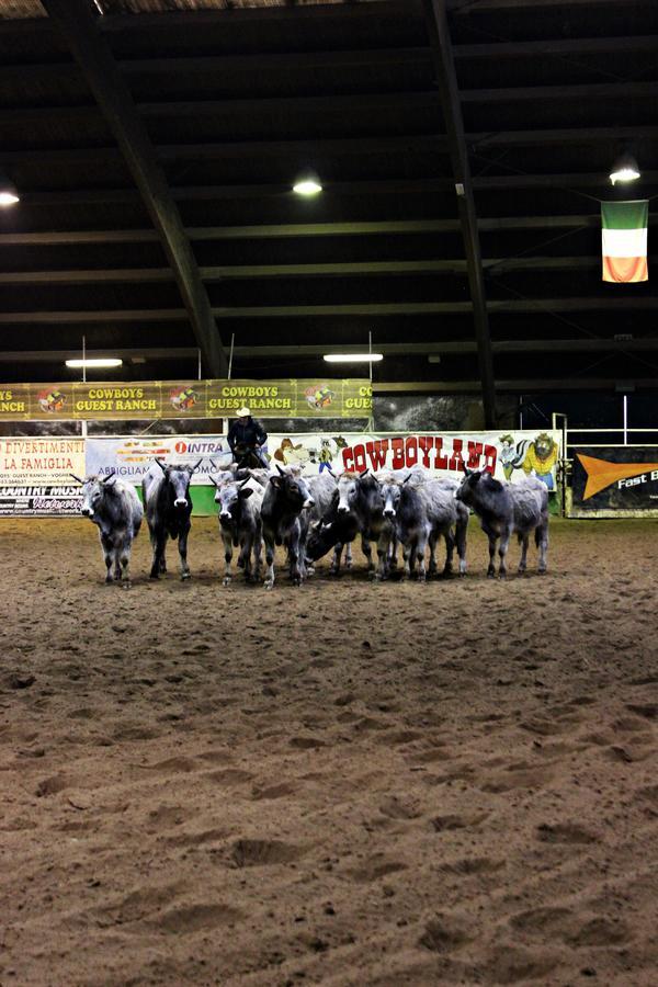 Cowboys Guest Ranch Hotel Вогера Екстериор снимка