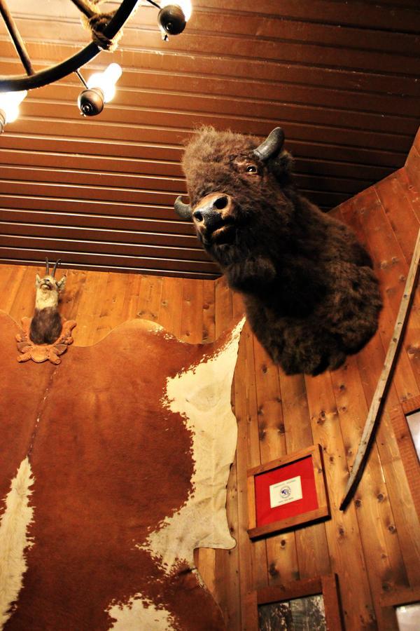 Cowboys Guest Ranch Hotel Вогера Екстериор снимка